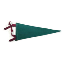 Load image into Gallery viewer, Reno Nevada Green Felt Pennant Travel Souvenir Vintage - Eagle&#39;s Eye Finds
