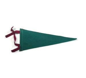 Reno Nevada Green Felt Pennant Travel Souvenir Vintage - Eagle's Eye Finds