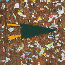 Load image into Gallery viewer, Luray Caverns Virginia Green Felt Hiking Pennant - Eagle&#39;s Eye Finds
