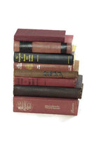 Load image into Gallery viewer, Earthy Toned Book Collection Instant Library - Eagle&#39;s Eye Finds
