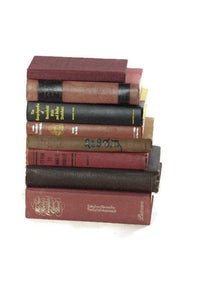 Earthy Toned Book Collection Instant Library - Eagle's Eye Finds