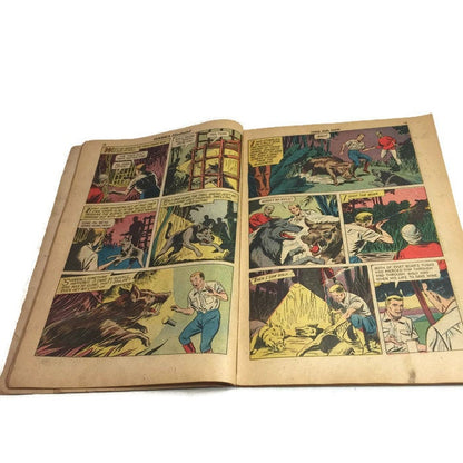 Classics Illustrated Fang and Claw No. 123 Comic Book Vintage - Eagle's Eye Finds