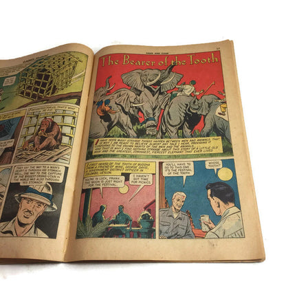 Classics Illustrated Fang and Claw No. 123 Comic Book Vintage - Eagle's Eye Finds