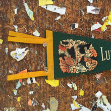 Load image into Gallery viewer, Luray Caverns Virginia Green Felt Hiking Pennant - Eagle&#39;s Eye Finds
