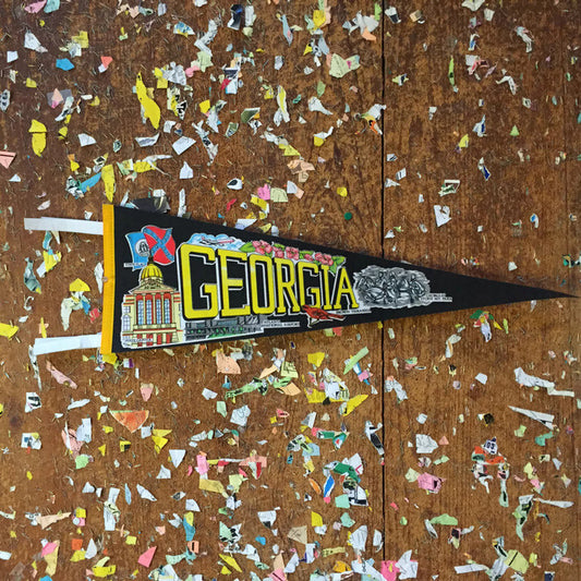 Georgia State Black Felt Pennant Wall Decor - Eagle's Eye Finds