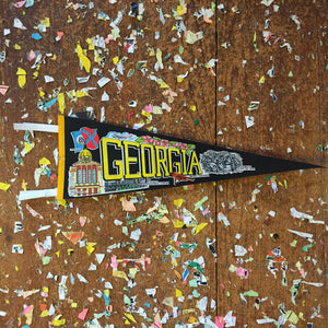 Georgia State Black Felt Pennant Wall Decor - Eagle's Eye Finds