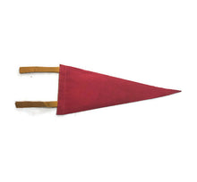 Load image into Gallery viewer, Chicago Shedd Aquarium Red Felt Pennant Vintage Wall Hanging Decor - Eagle&#39;s Eye Finds
