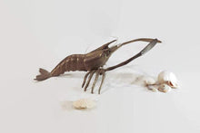 Load image into Gallery viewer, Brass Lobster Beach House Nautical Decor - Eagle&#39;s Eye Finds
