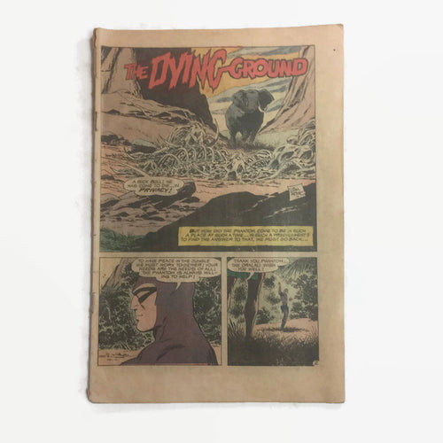 Charlton Comics The Phantom No. 38 The Dying Ground Vintage Comic - Eagle's Eye Finds