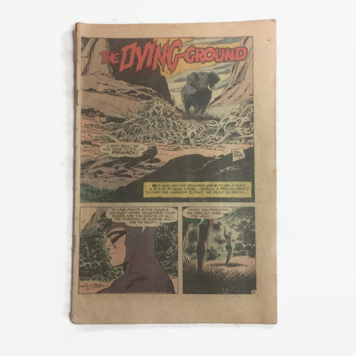 Charlton Comics The Phantom No. 38 The Dying Ground Vintage Comic - Eagle's Eye Finds