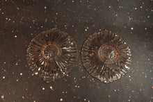 Load image into Gallery viewer, Old Cafe Low Candy Dish Vintage Pink Footed Dish - Eagle&#39;s Eye Finds
