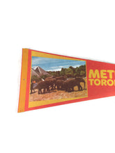 Load image into Gallery viewer, Metro Zoo Toronto Felt Pennant Vintage Animal Decor - Eagle&#39;s Eye Finds
