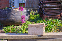 Load image into Gallery viewer, Chippy White Ammo Box Unique Vintage Planter or Container - Eagle&#39;s Eye Finds
