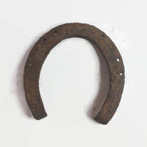 Old Rusty Lucky Horseshoe Vintage Accent - Eagle's Eye Finds