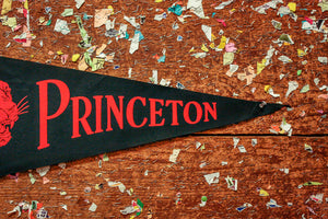 Princeton University Tiger Felt Pennant Vintage Collegiate Wall Decor - Eagle's Eye Finds