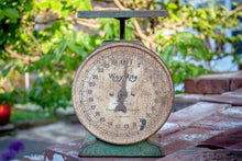 Load image into Gallery viewer, Way Rite Chippy Green Scale Vintage Kitchen Decor - Eagle&#39;s Eye Finds
