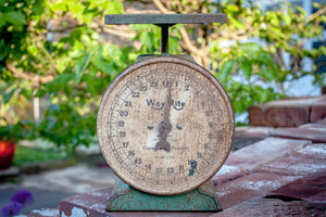 Way Rite Chippy Green Scale Vintage Kitchen Decor - Eagle's Eye Finds