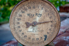 Load image into Gallery viewer, Way Rite Chippy Green Scale Vintage Kitchen Decor - Eagle&#39;s Eye Finds
