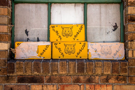 Wildcat Country Booster License Plate Vintage Wall Decor - Eagle's Eye Finds