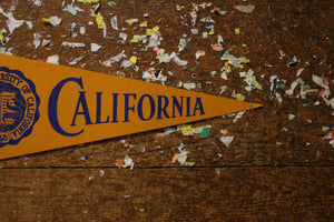 University of California Felt Pennant Vintage College Decor - Eagle's Eye Finds
