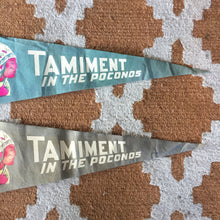 Load image into Gallery viewer, Tamiment Poconos American Indian Felt Pennant Vintage Wall Decor - Eagle&#39;s Eye Finds
