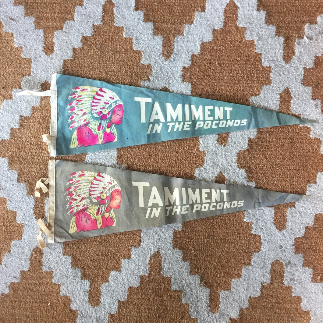 Tamiment Poconos American Indian Felt Pennant Vintage Wall Decor - Eagle's Eye Finds