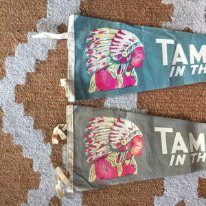 Tamiment Poconos American Indian Felt Pennant Vintage Wall Decor - Eagle's Eye Finds