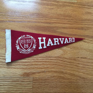 Harvard University Mini Felt Pennant Vintage College Decor - Eagle's Eye Finds
