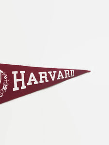 Harvard University Mini Felt Pennant Vintage College Decor - Eagle's Eye Finds