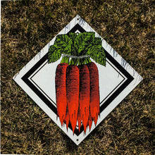 Load image into Gallery viewer, Carrot Bunch Porcelain Signs Vintage Kitchen Wall Decor - Eagle&#39;s Eye Finds
