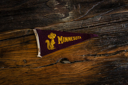 University of Minnesota Mini Felt Pennant Vintage College Decor - Eagle's Eye Finds
