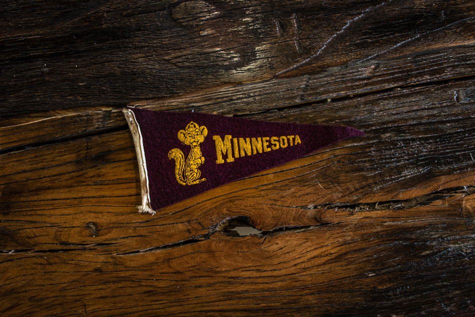 University of Minnesota Mini Felt Pennant Vintage College Decor - Eagle's Eye Finds