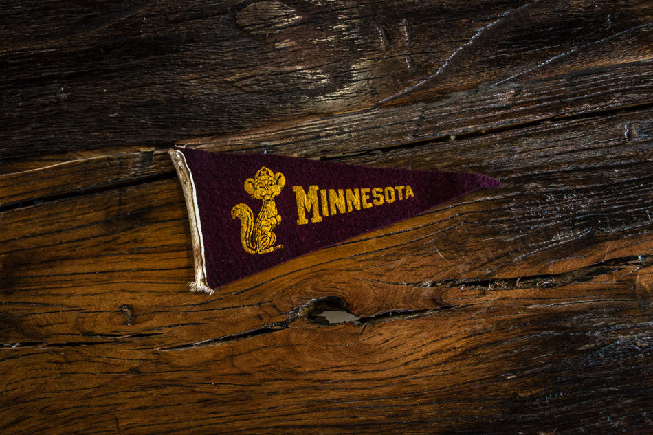 University of Minnesota Mini Felt Pennant Vintage College Decor - Eagle's Eye Finds