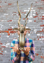 Load image into Gallery viewer, Brass Impala Head Bust Vintage Large Brass Antelope Animal Decor - Eagle&#39;s Eye Finds
