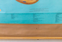 Load image into Gallery viewer, Eye and Ear Anatomy Vintage Pull-Down Chart - Eagle&#39;s Eye Finds
