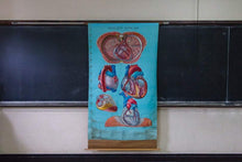 Load image into Gallery viewer, Anatomy of the Heart Vintage Pull-Down Chart Wall Decor - Eagle&#39;s Eye Finds

