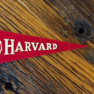 Harvard Mini Felt Pennant Vintage College Decor - Eagle's Eye Finds