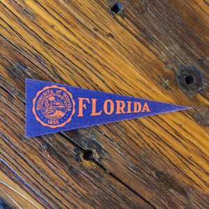 University of Florida Mini Felt Pennant Vintage College Decor - Eagle's Eye Finds