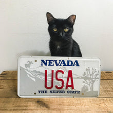 Load image into Gallery viewer, USA Nevada Souvenir Vanity License Plate - Eagle&#39;s Eye Finds
