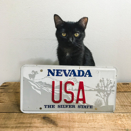 USA Nevada Souvenir Vanity License Plate - Eagle's Eye Finds