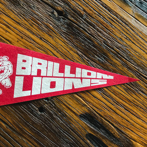 Brillion Lions High School Felt Pennant - Eagle's Eye Finds