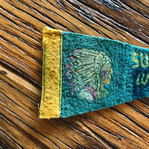 Superior Wisconsin American Indian Mini Felt Pennant Vintage Wall Decor - Eagle's Eye Finds