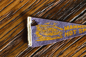 Mammoth Hot Springs Pennant Vintage Mini Yellowstone National Park Wall Decor - Eagle's Eye Finds