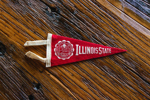 Illinois State University Mini Felt Pennant Vintage College Decor - Eagle's Eye Finds