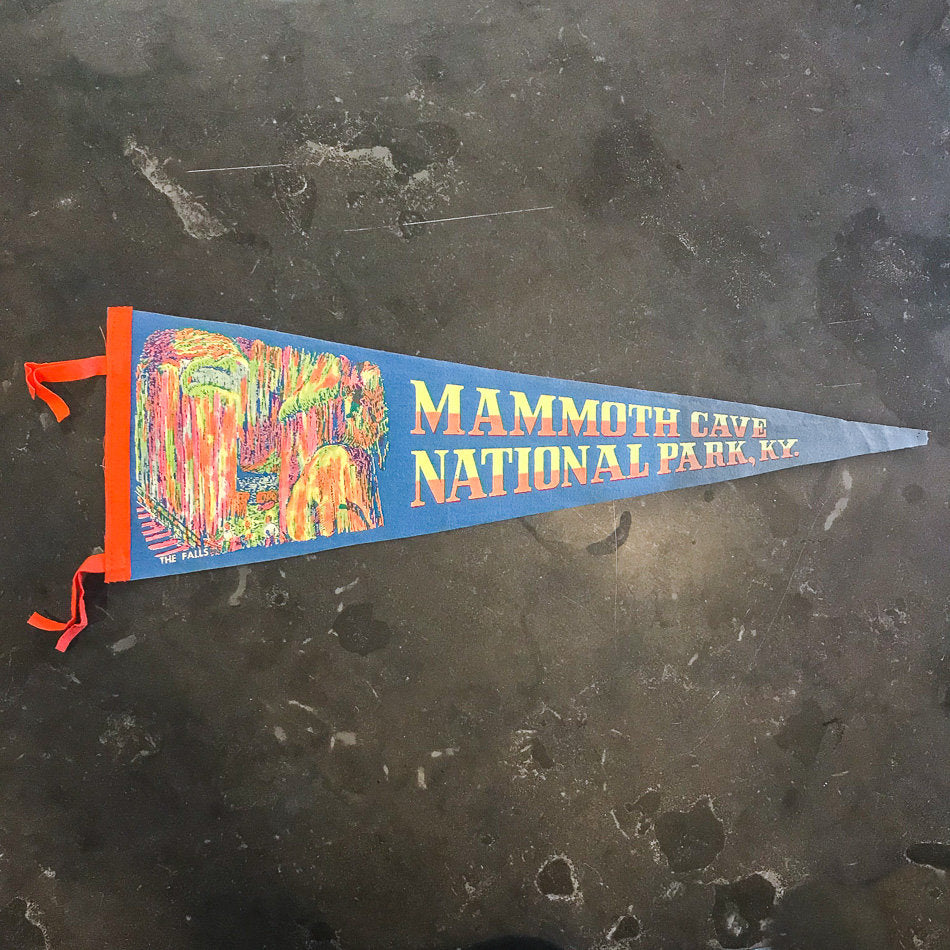 Mammoth Cave National Park KY Felt Pennant Vintage Wall Decor - Eagle's Eye Finds
