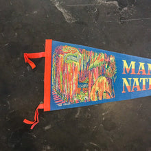 Load image into Gallery viewer, Mammoth Cave National Park KY Felt Pennant Vintage Wall Decor - Eagle&#39;s Eye Finds
