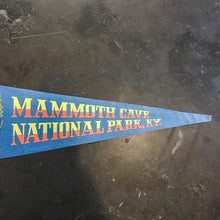 Load image into Gallery viewer, Mammoth Cave National Park KY Felt Pennant Vintage Wall Decor - Eagle&#39;s Eye Finds
