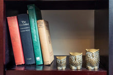Load image into Gallery viewer, Brass Owl Figurines Vintage Gold Small Bird Set - Eagle&#39;s Eye Finds
