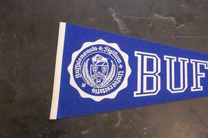 University at Buffalo Navy Felt Pennant Vintage College Wall Decor - Eagle's Eye Finds