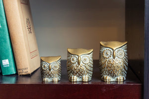 Brass Owl Figurines Vintage Gold Small Bird Set - Eagle's Eye Finds
